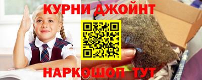 крисы Партизанск