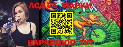 крисы Партизанск