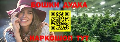 крисы Партизанск